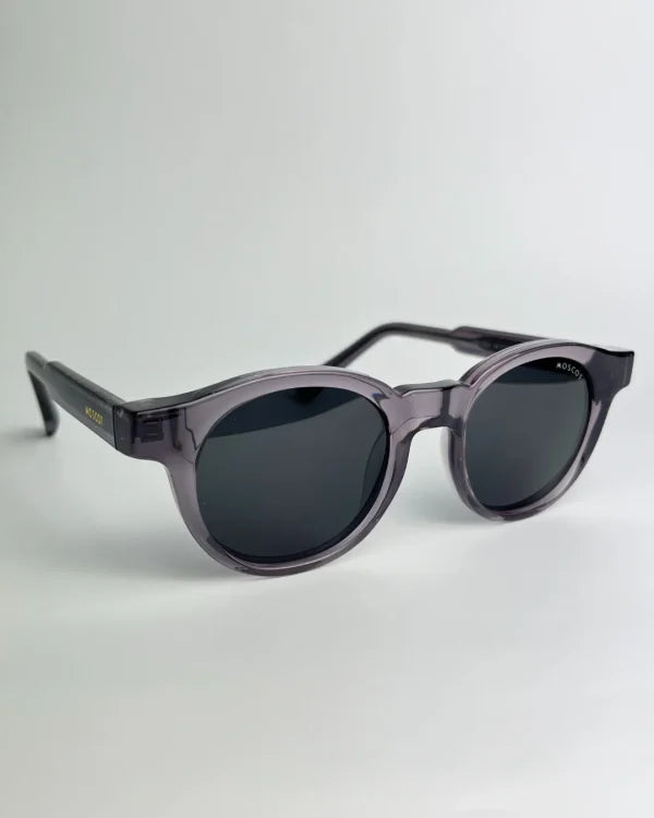 Moscot polarisé Violet