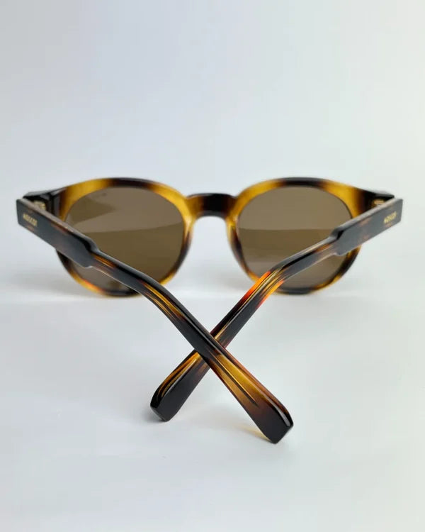 Moscot polarisé