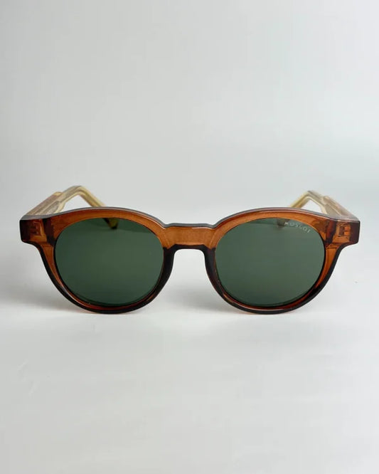 Moscot Polarisé Ambré/Brun