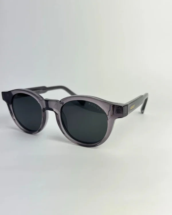 Moscot polarisé Violet
