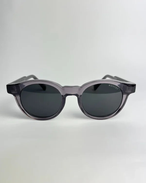 Moscot polarisé Violet