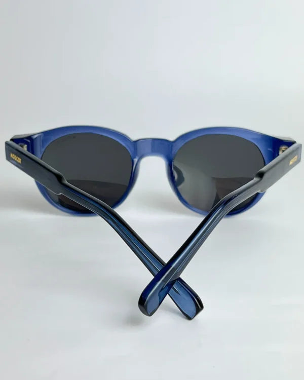 Moscot polarisé bleu foncé